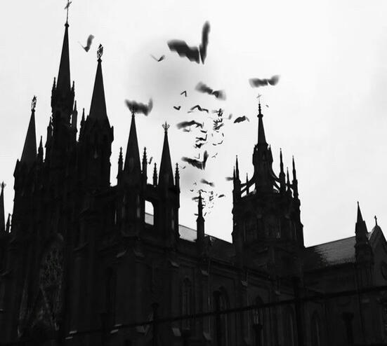 Untitled Untitled